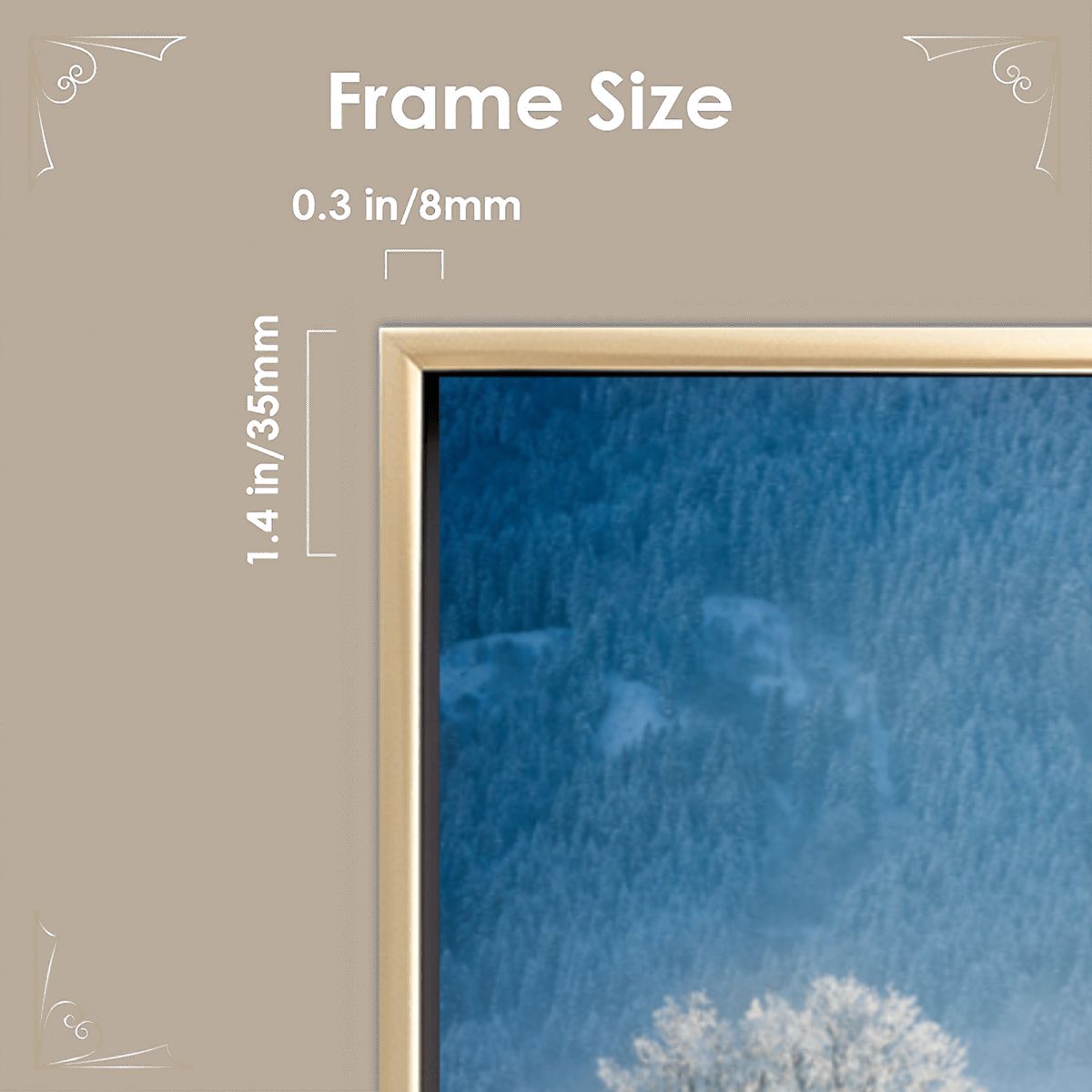 Floating Frame Canvas